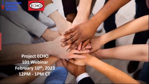 Project Echo 101 Cover